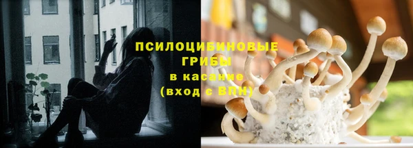 стафф Алексеевка