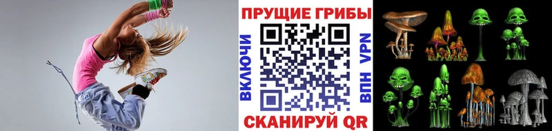 Галлюциногенные грибы Psilocybe  Старая Русса 
